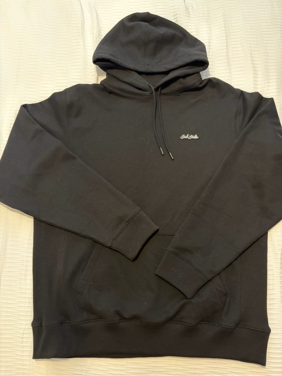 Bad Birdie Other - Bad Birdie Black Hooded Pullover with Script Chest Logo